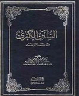 علوم الاسناد من السنن الكبرى دراسة ونقد